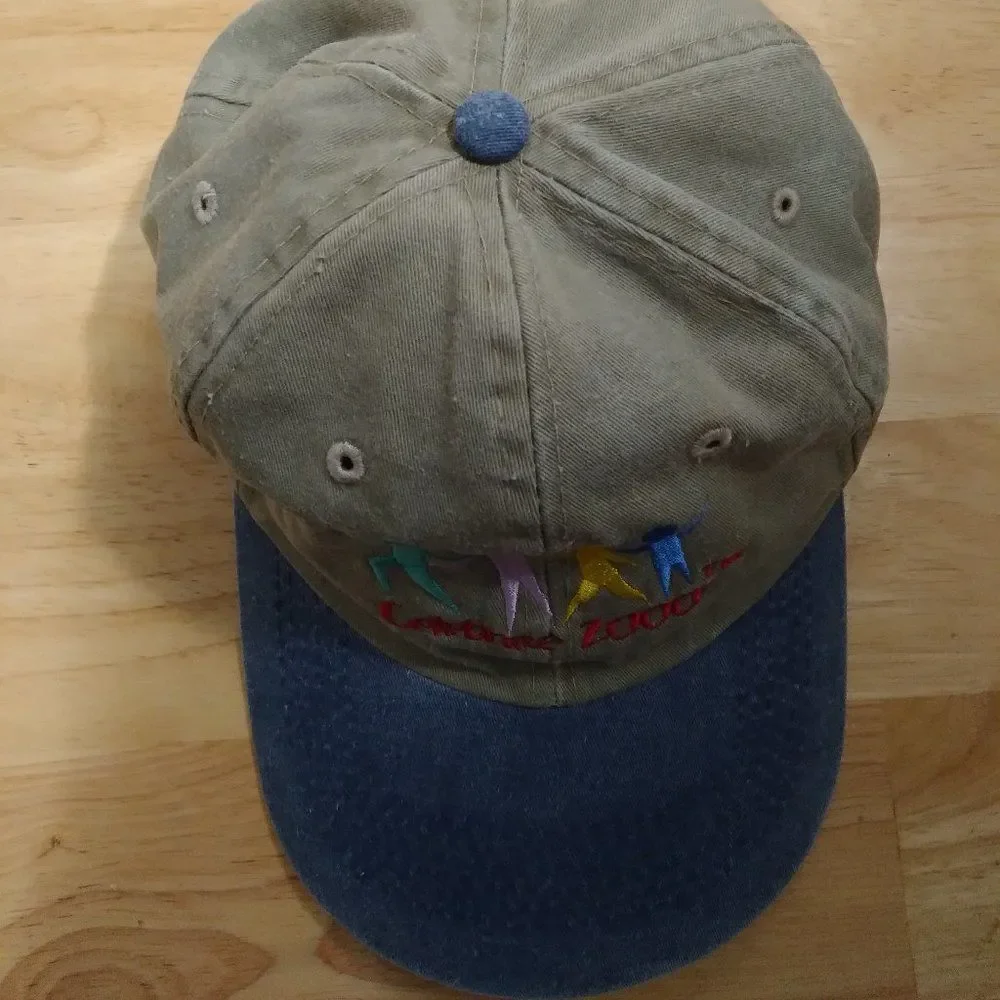 Vintage Celebrate 2000 Y2K Strap Back Hat